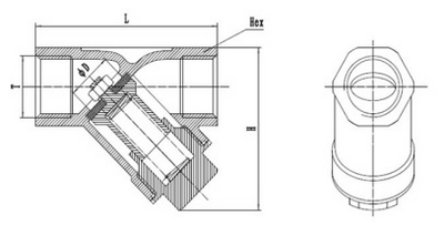 Schrägsitz-Rückschlagventil mit Feder, Edelstahl